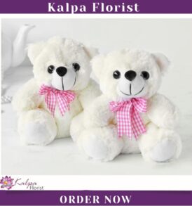 2 Teddy Bears with Chocolates in Basket | Send Gifts To India | Kalpa Florist, send gifts to india, send gifts in india, to send gifts to india, send gifts to india from usa, how to send gifts to india from usa, send gifts to india online, send gifts from usa to india, send diwali gifts to india, how to send gifts to india, send mother's day gifts to india, send gifts to india from usa online, send gifts to india online from usa, send birthday gifts to india from usa, send rakhi gifts to india, how to send gifts to india, send gifts to india same day delivery, send wedding gifts to india, send gifts to india from usa same day delivery, send gifts to india hyderabad, how can i send gifts to india, Order From : United Kingdom, Australia, New Zealand, Singapore, Germany, Kuwait, Greece, Russia, Toronto, Melbourne, Brampton, Ontario, Singapore, Spain, New York, Germany, Italy, London, Toronto, Europe,  Spain, Italy