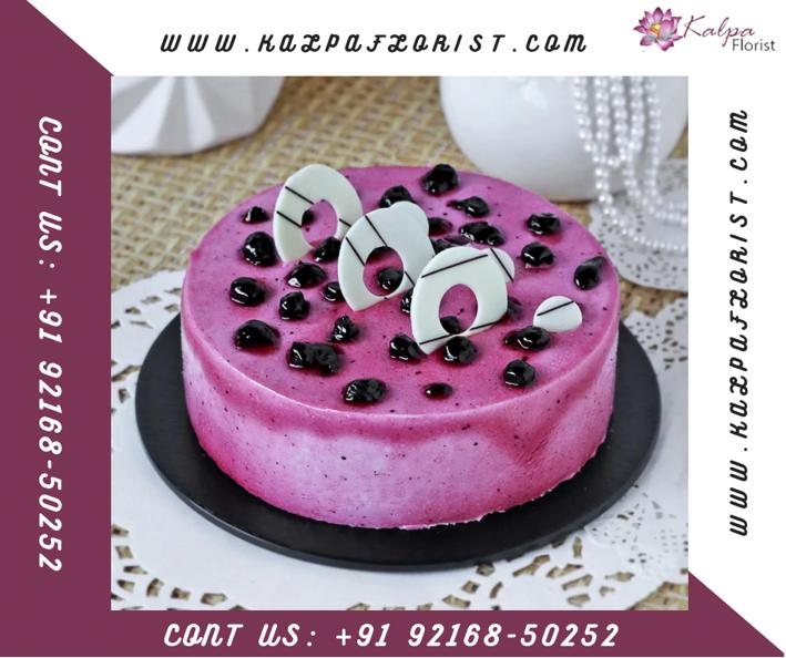 Blueberry Delight Cake | Cake Order Online In India | Kalpa Florist, cake order online in india, where to order cake online, order cake online in india, order cake online for india, cake order in india, order cake online indianapolis, order cake in india from usa, can you order cakes online, online cake order offers, how to order cake delivery online, how to order cake online in usa from india, order cake online in hyderabad india, order cake online india bangalore, best site to order cake online in india, online cake order with price, order cake online from india to usa, how to order cake online in india, how to order cake in india from usa, buy order cake online from india to canada, where to buy cake online in india, benefits of online cake delivery, order cake online anywhere in india, order cake online india delhi, online cake delivery in india lucknow, order cake online india nashik, order cake online india pune, can you order small cakes online, online cake delivery in india chennai, online cake delivery in india ahmedabad, order cake online india chennai, how to order cake online in india from canada,  best order cake online india mumbai, order cake online india jalandhar, online cake delivery in india monginis,  cake order online delhi near me,  order cake online india lucknow, order cake online india coimbatore, best website to order cakes in india, birthday cake order online in india, cake order online to india, Order from : Nevada, South Carolina, Oklahoma, Louisiana, Alabama, Utah, Mississippi, Kentucky, Arkansas, Delaware, Nebraska, New Hampshire, Idaho, Rhode Island, North Dakota, New Mexico, Maine, South Dakota, West Virginia, Hawaii, Vermont, Wyoming, Ontario, British Columbia, Alberta, Quebec, Manitoba, Saskatchewan, Nova Scotia, New Brunswick, Prince Edward Island, 