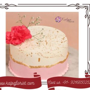 Birthday Fondant Cakes Online Cake Delivery In Delhi uk