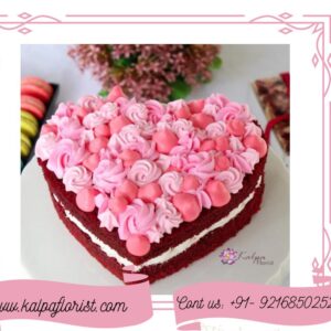 Expressions Of Love Cake Cake Delivery Pathankot