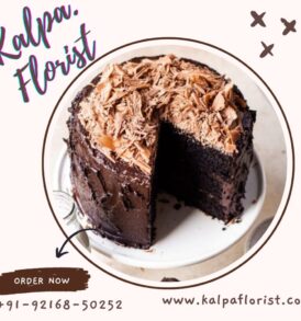 chocolate cake(order cake online eggless)
