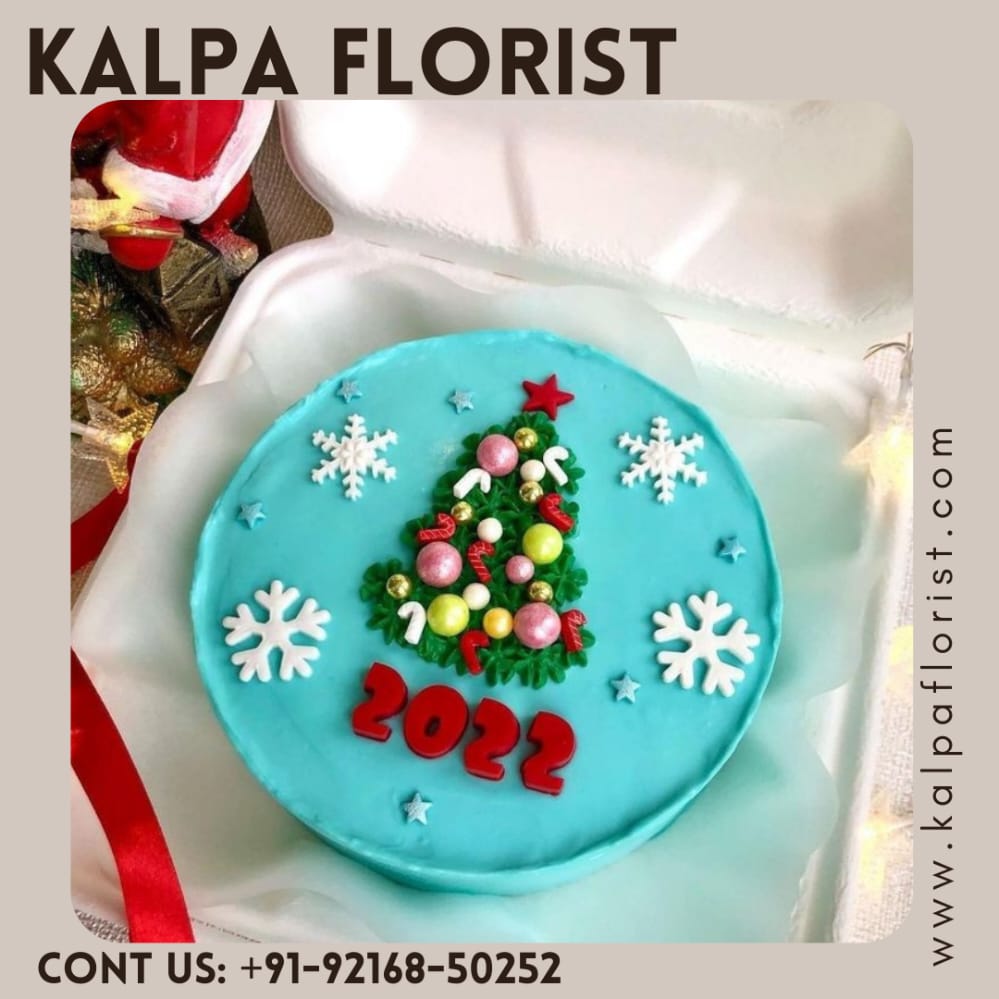 Special Chirstmas Cake ( Send Cakes To India From Canada )