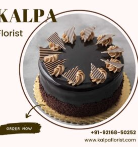 Dark Chocolate Cake ( Order Cake Online Jalandhar )