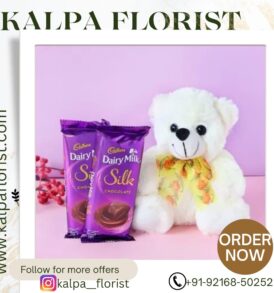 Teddy And Chocolates ( Online Gift Delivery In India )