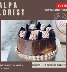 Send Chocolate Truffle Cake ( Cake Delivery Jalandhar )