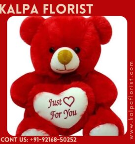 Teddy Bear For Girlfriend ( Valentine’s Gifts )