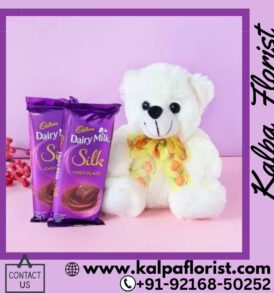 Teddy And Chocolates ( Online Gift Delivery In Ludhiana )