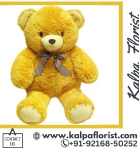 Teddy Bear For Girlfriend ( Order Birthday Gifts Online )