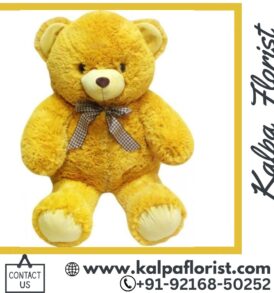 Teddy Bear For Girlfriend ( Order Birthday Gifts Online )